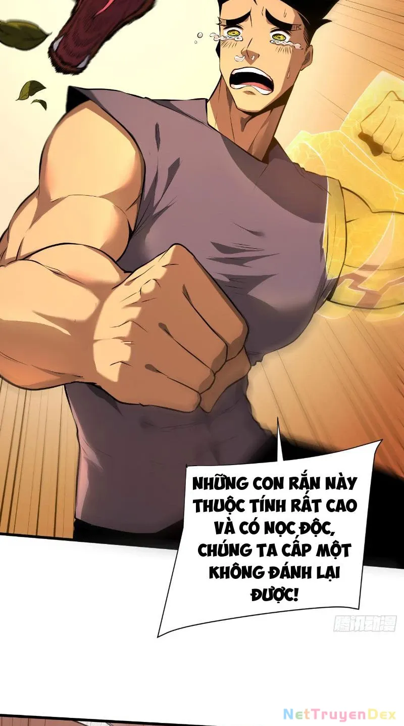 đọc truyện Mệnh Luân Chi Chủ! Khi Dị Biến Giáng Lâm Nhân Gian! Chương 3 ảnh 5 tại Thiên Thai Truyện