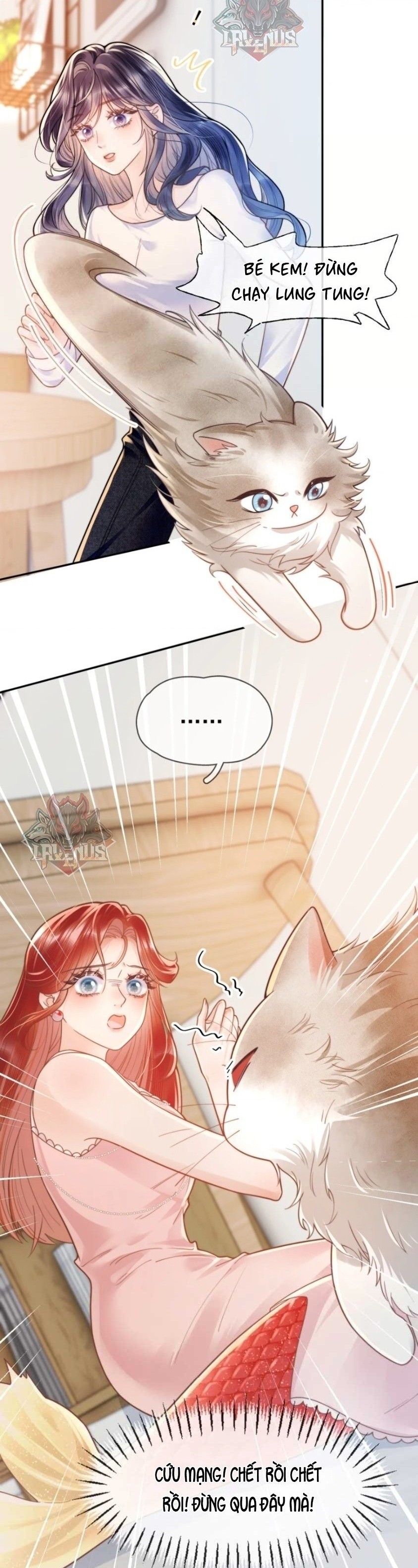 đọc truyện Mệnh Trung Đới Cẩm Lý Chương 5 ảnh 4 tại Thiên Thai Truyện