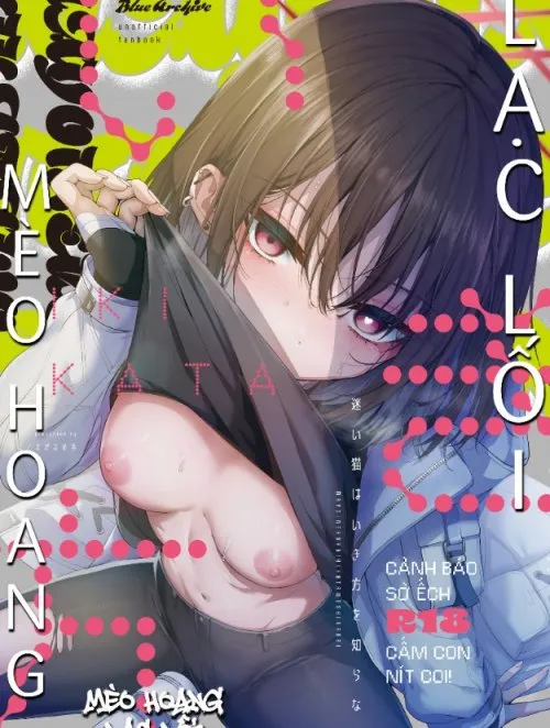 Mèo Hoang Lạc Lối