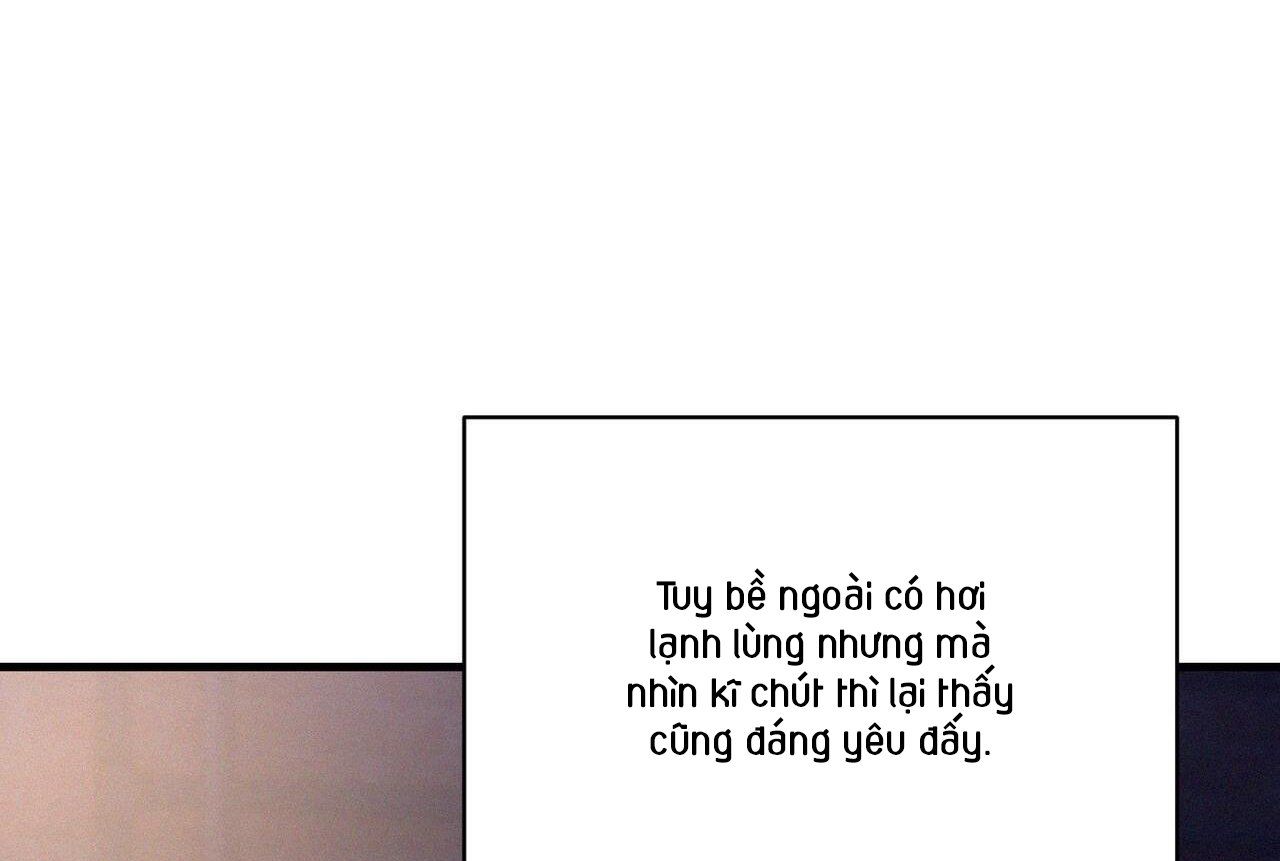 đọc truyện Merry On The Rock Chương 1 ảnh 81 tại Giả Dược
