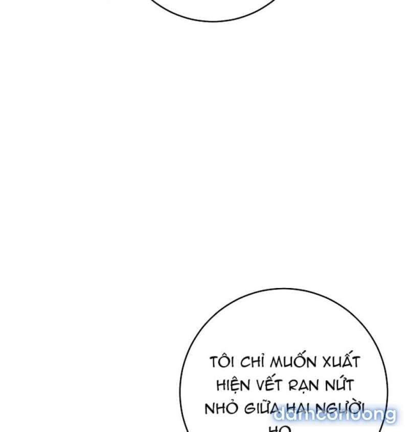 đọc truyện Mộ Thiên Nga Chương 26 ảnh 114 tại Thiên Thai Truyện