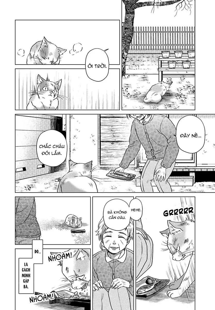 đọc truyện Mofumofu Bakashiai Nikki Chương 3 ảnh 11 tại Giả Dược