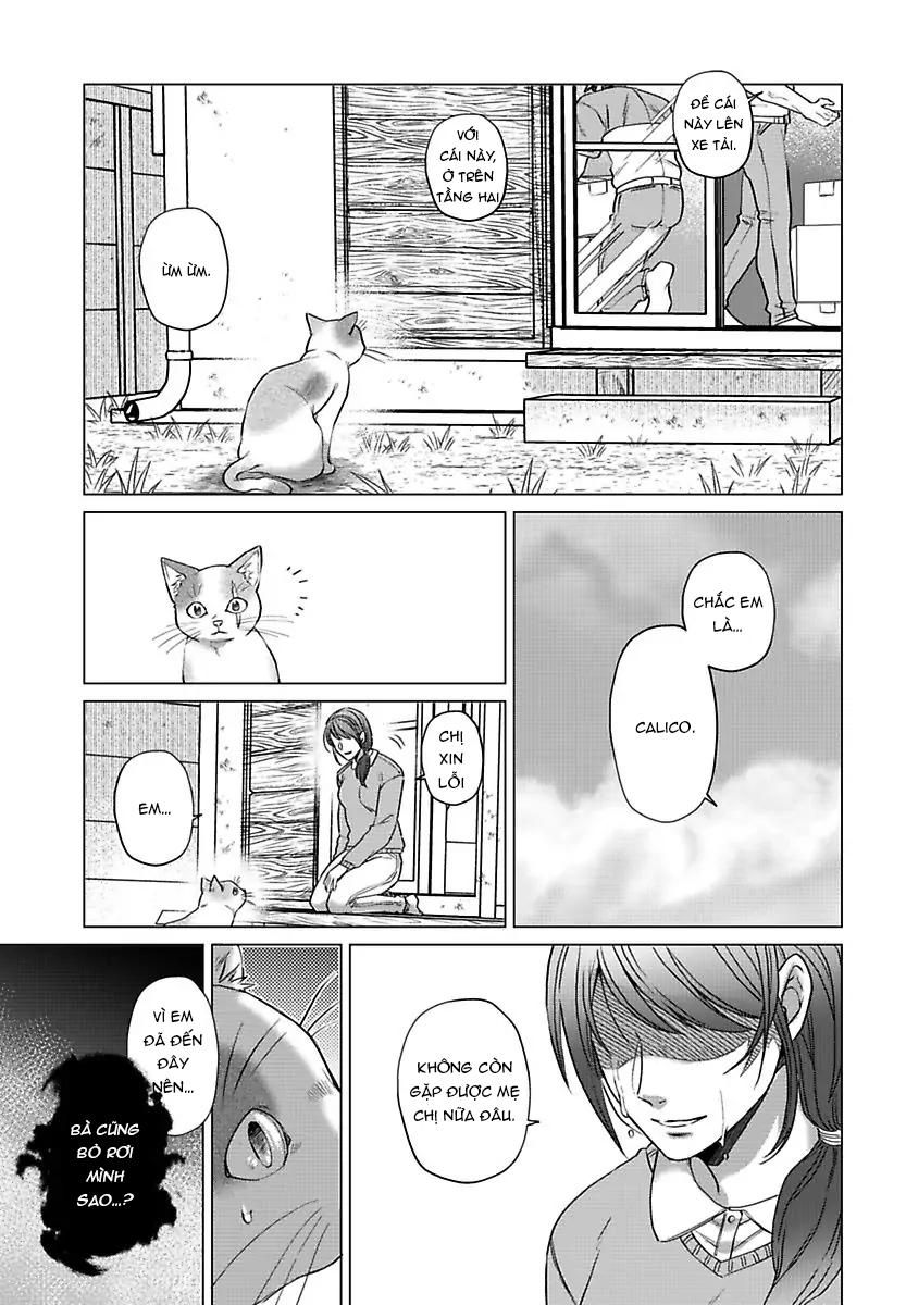 đọc truyện Mofumofu Bakashiai Nikki Chương 3 ảnh 14 tại Giả Dược