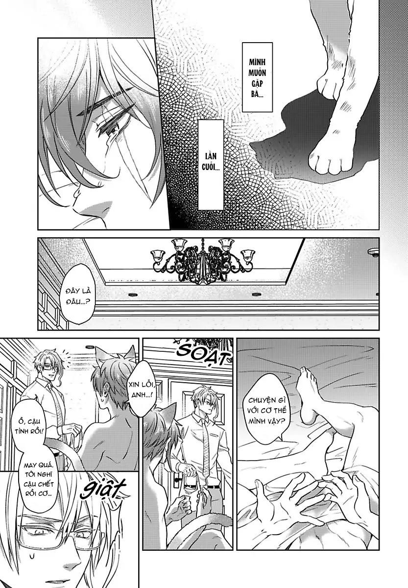 đọc truyện Mofumofu Bakashiai Nikki Chương 3 ảnh 16 tại Giả Dược