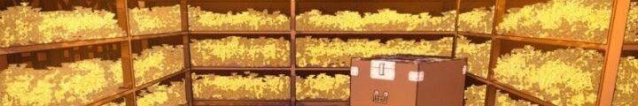 đọc truyện Mời Công Tử Trảm Yêu Chương 8 ảnh 180 tại Giả Dược