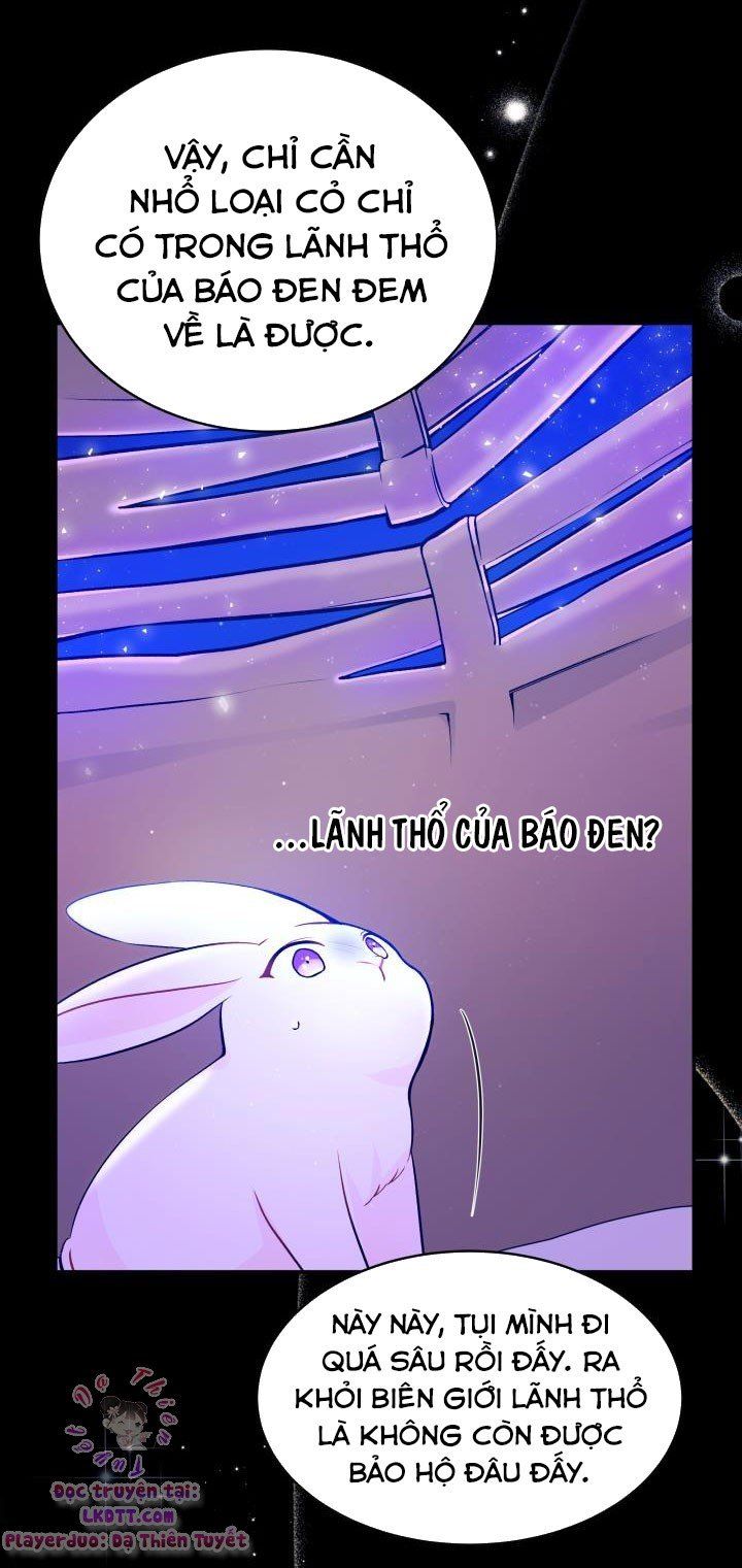 đọc truyện Mối Quan Hệ Cộng Sinh Giữa Báo Đen Và Thỏ Trắng Chương 1 ảnh 20 tại Thiên Thai Truyện