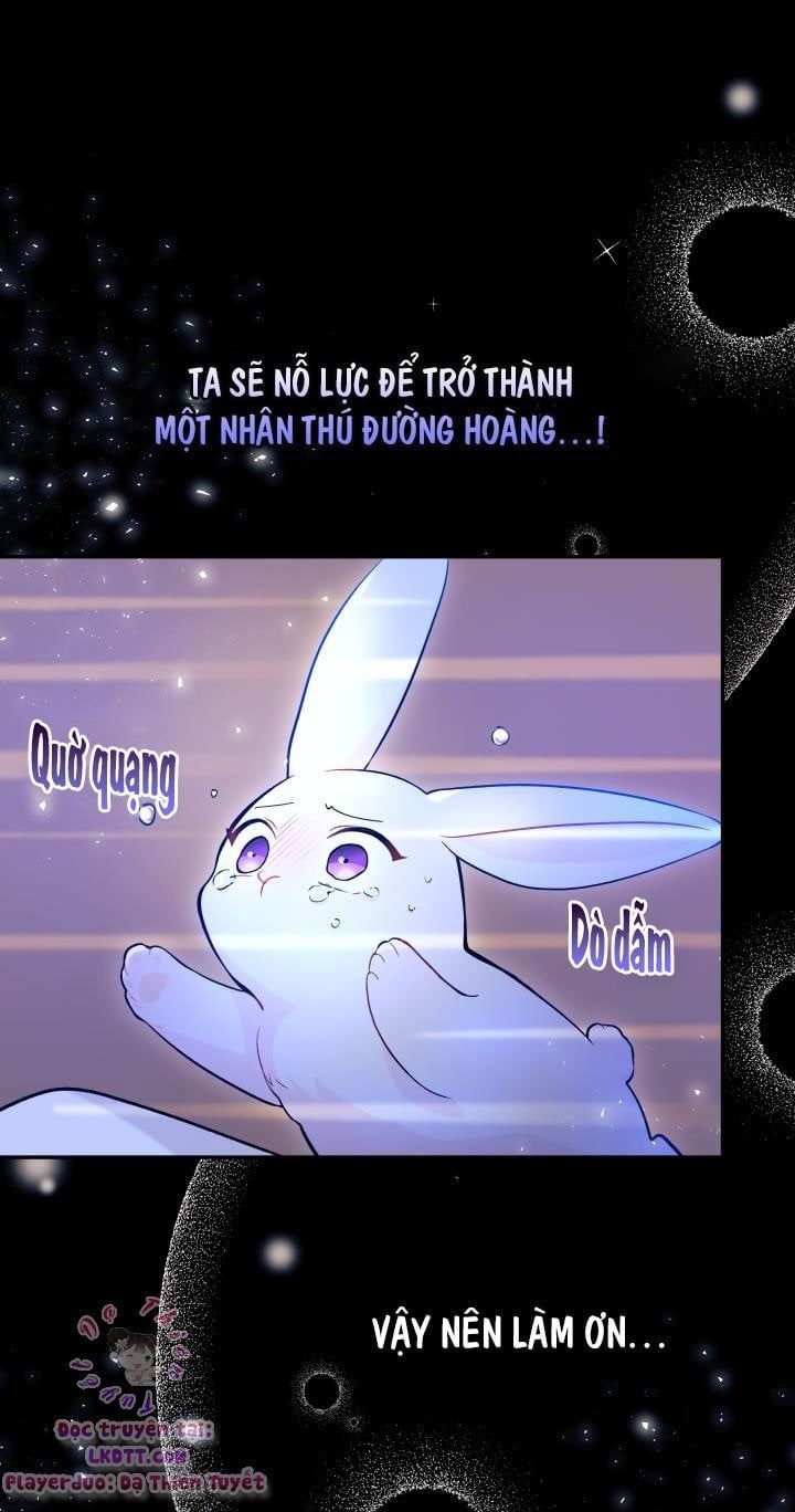 đọc truyện Mối Quan Hệ Cộng Sinh Giữa Báo Đen Và Thỏ Trắng Chương 1 ảnh 24 tại Thiên Thai Truyện
