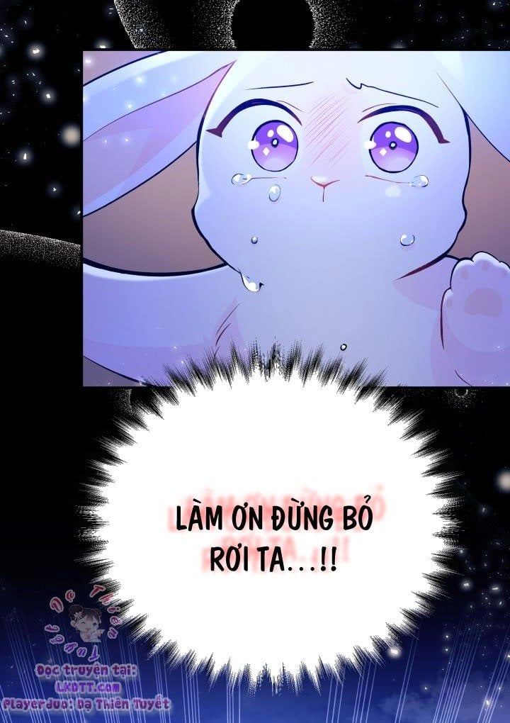 đọc truyện Mối Quan Hệ Cộng Sinh Giữa Báo Đen Và Thỏ Trắng Chương 1 ảnh 25 tại Thiên Thai Truyện