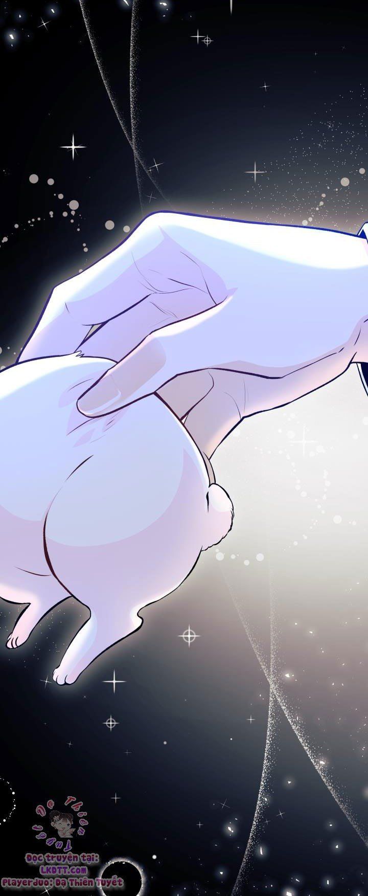 đọc truyện Mối Quan Hệ Cộng Sinh Giữa Báo Đen Và Thỏ Trắng Chương 1 ảnh 31 tại Thiên Thai Truyện