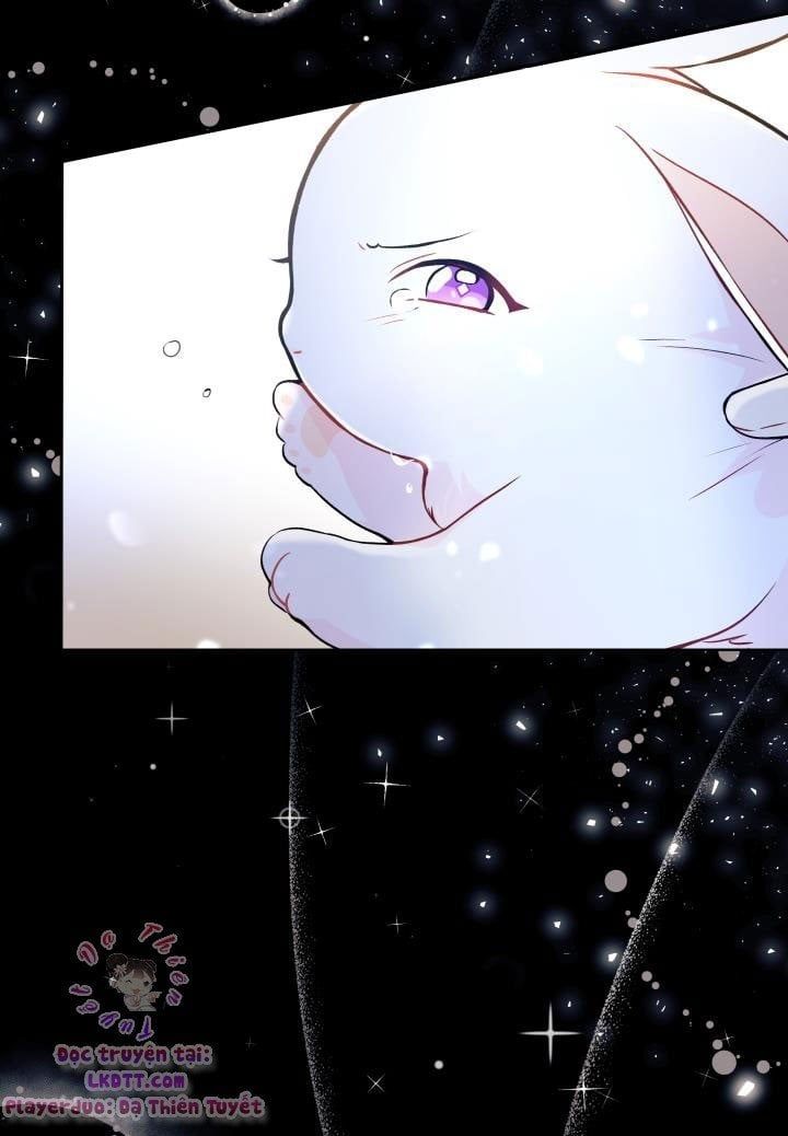 đọc truyện Mối Quan Hệ Cộng Sinh Giữa Báo Đen Và Thỏ Trắng Chương 1 ảnh 32 tại Thiên Thai Truyện