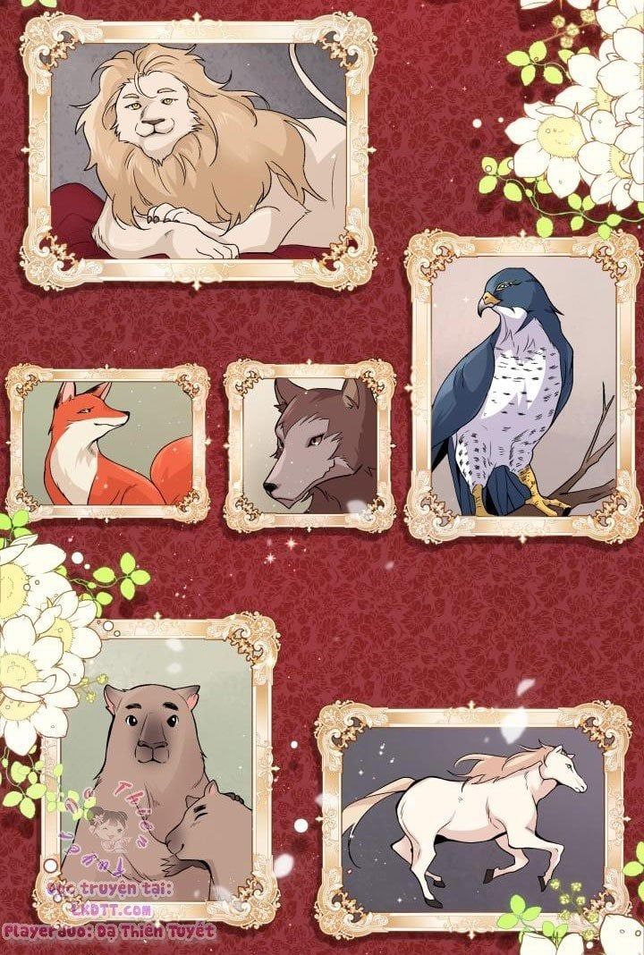 đọc truyện Mối Quan Hệ Cộng Sinh Giữa Báo Đen Và Thỏ Trắng Chương 1 ảnh 48 tại Thiên Thai Truyện