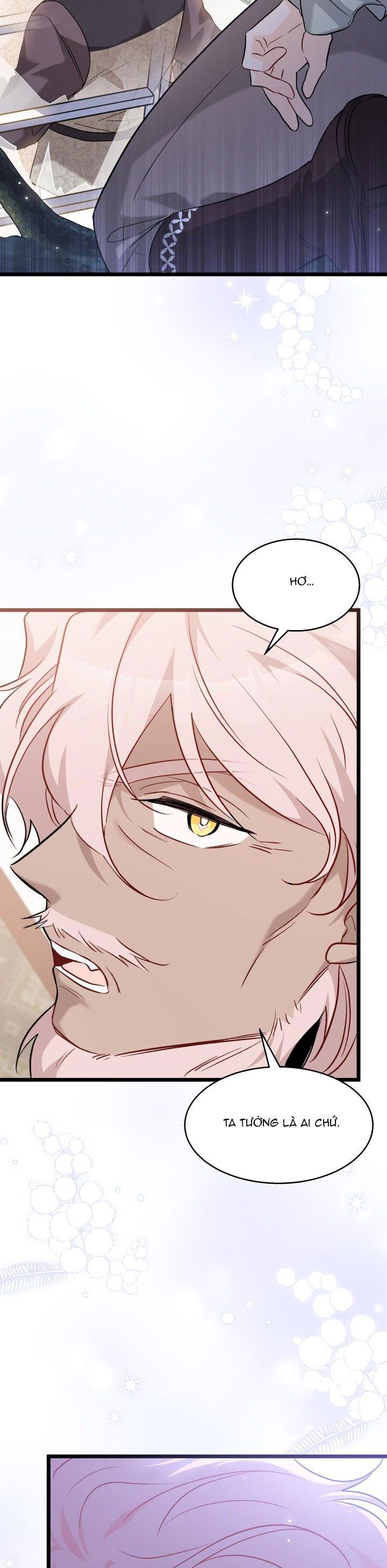 đọc truyện Mối Quan Hệ Cộng Sinh Giữa Báo Đen Và Thỏ Trắng Chương 100 ảnh 21 tại Thiên Thai Truyện