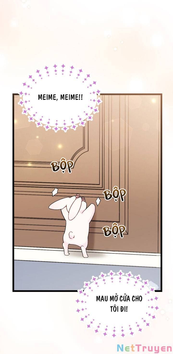 đọc truyện Mối Quan Hệ Cộng Sinh Giữa Báo Đen Và Thỏ Trắng Chương 101 ảnh 17 tại Thiên Thai Truyện