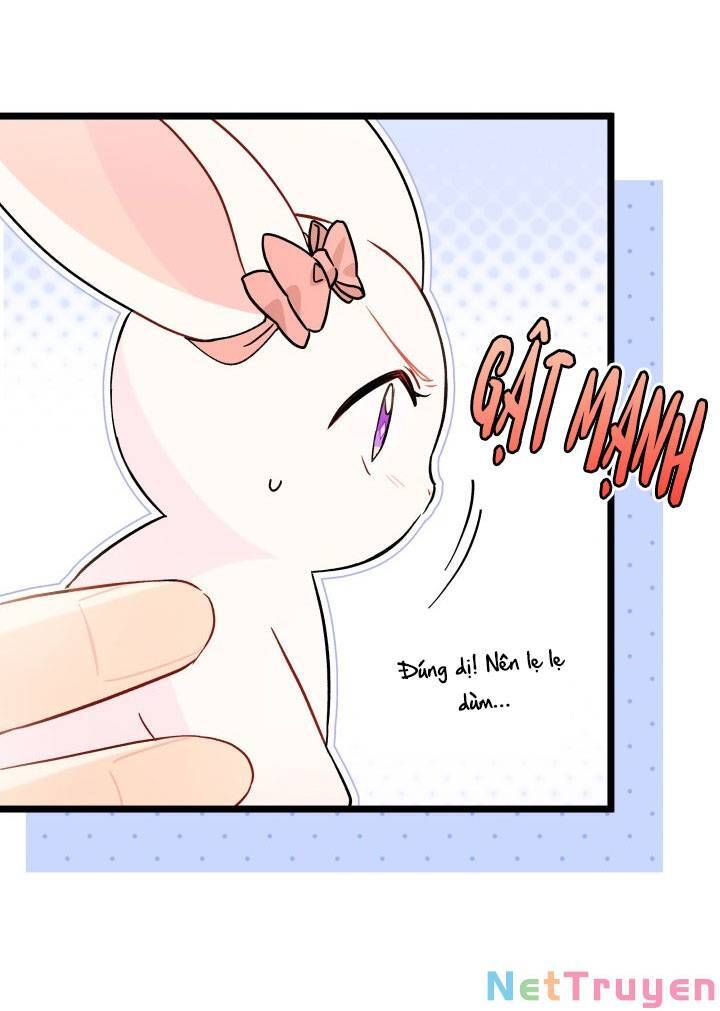 đọc truyện Mối Quan Hệ Cộng Sinh Giữa Báo Đen Và Thỏ Trắng Chương 101 ảnh 21 tại Thiên Thai Truyện