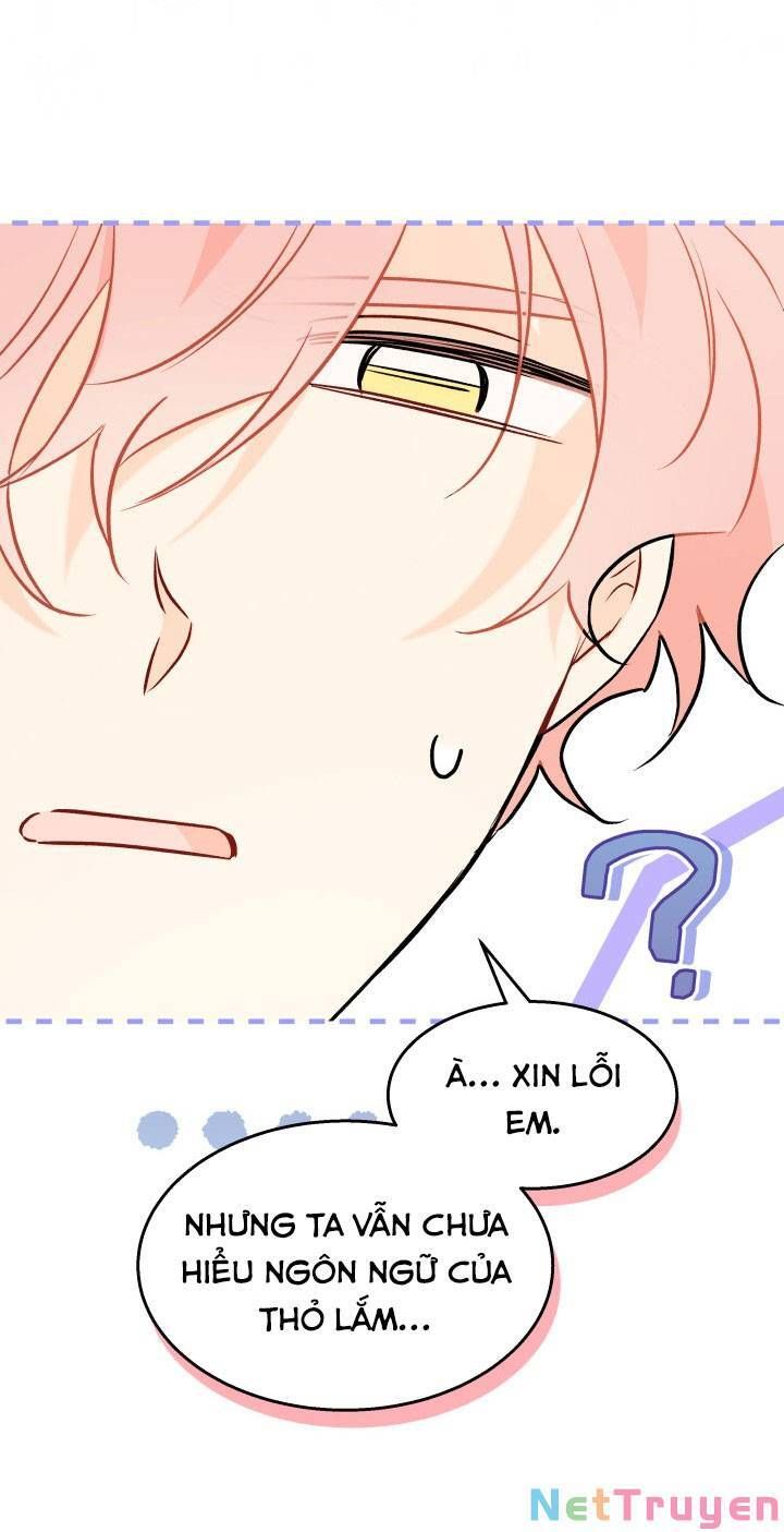 đọc truyện Mối Quan Hệ Cộng Sinh Giữa Báo Đen Và Thỏ Trắng Chương 101 ảnh 24 tại Thiên Thai Truyện