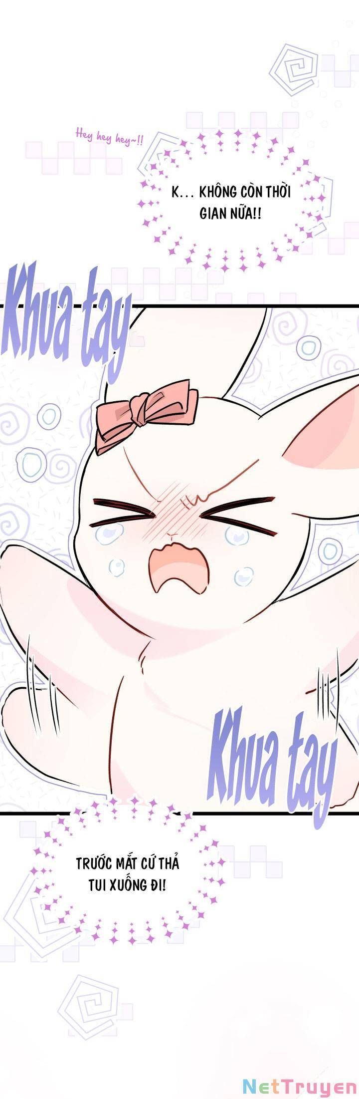 đọc truyện Mối Quan Hệ Cộng Sinh Giữa Báo Đen Và Thỏ Trắng Chương 101 ảnh 25 tại Thiên Thai Truyện