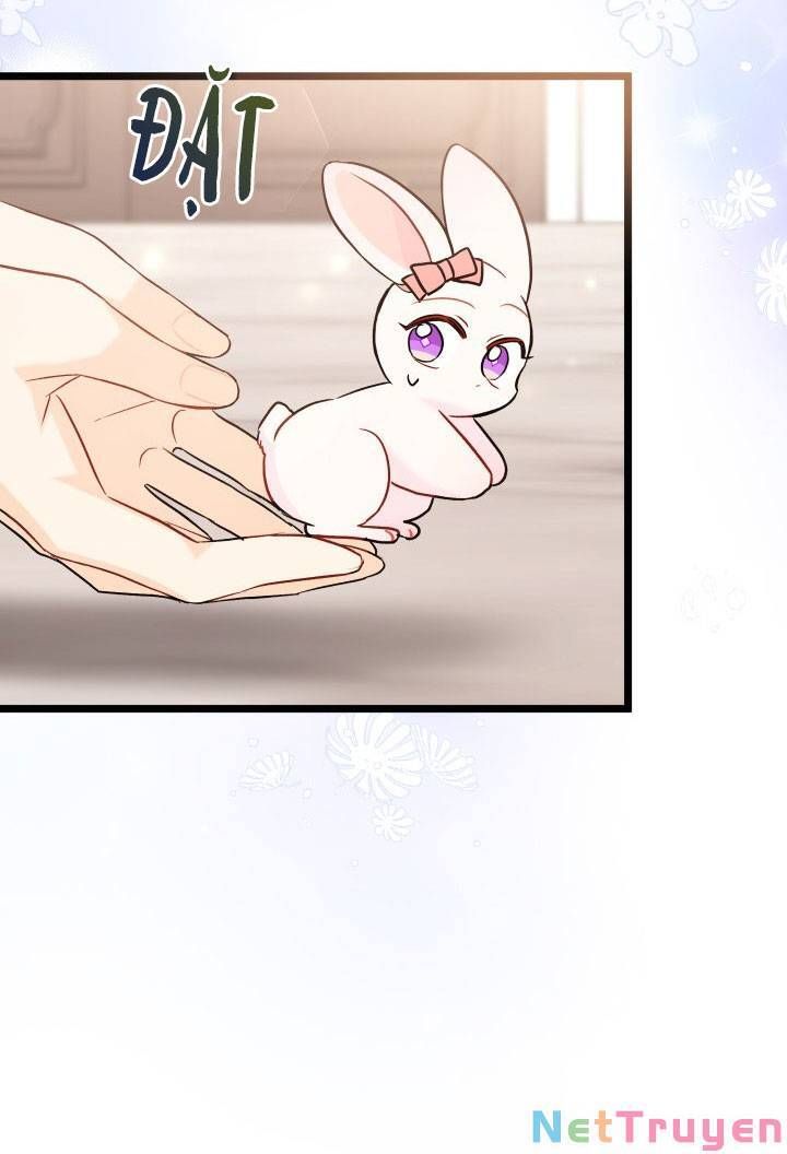 đọc truyện Mối Quan Hệ Cộng Sinh Giữa Báo Đen Và Thỏ Trắng Chương 101 ảnh 31 tại Thiên Thai Truyện