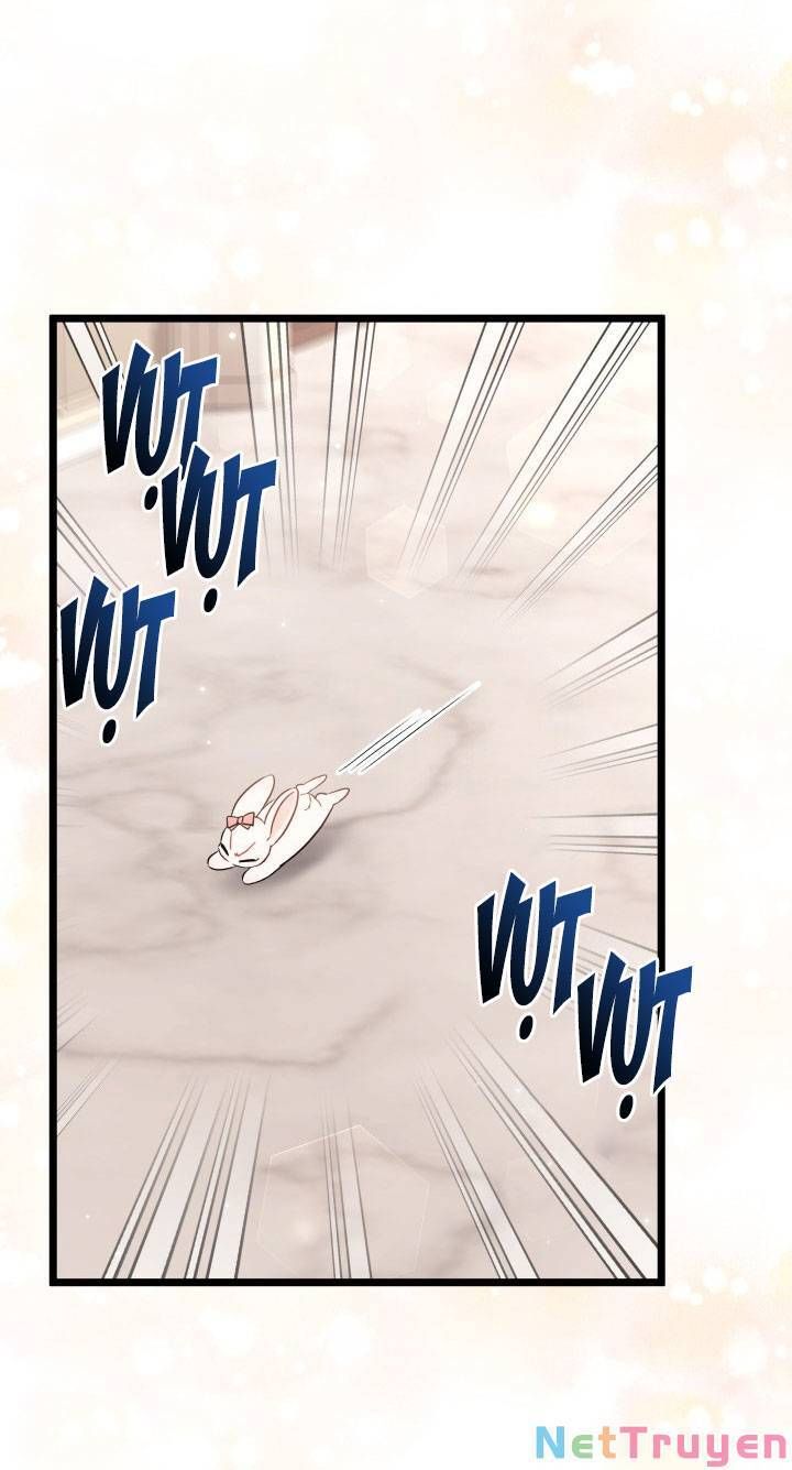 đọc truyện Mối Quan Hệ Cộng Sinh Giữa Báo Đen Và Thỏ Trắng Chương 101 ảnh 38 tại Thiên Thai Truyện