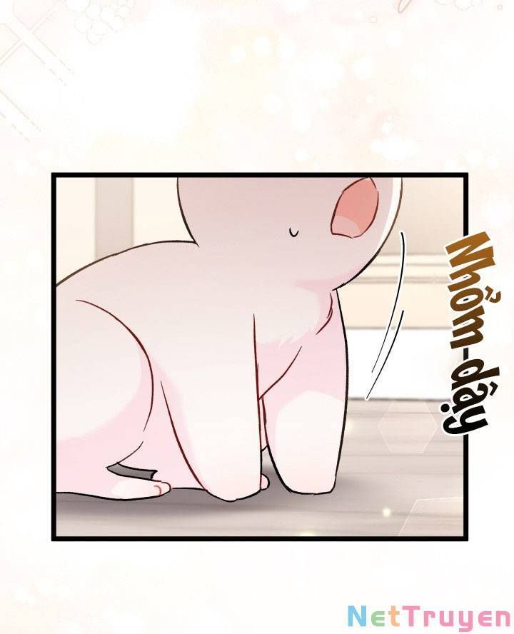 đọc truyện Mối Quan Hệ Cộng Sinh Giữa Báo Đen Và Thỏ Trắng Chương 101 ảnh 50 tại Thiên Thai Truyện