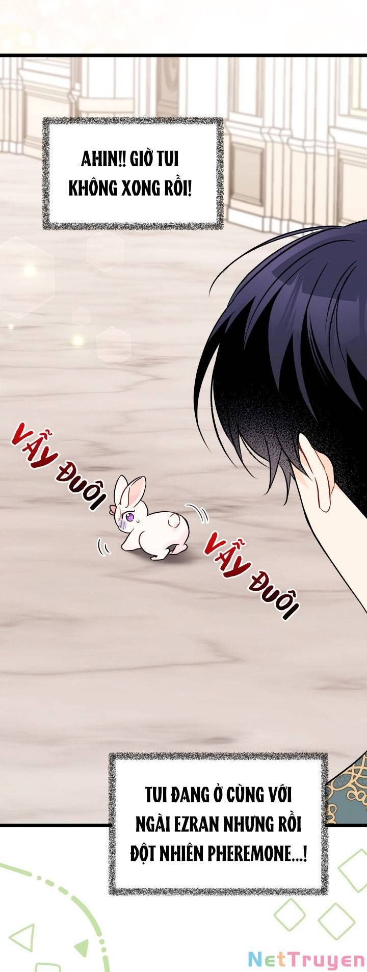 đọc truyện Mối Quan Hệ Cộng Sinh Giữa Báo Đen Và Thỏ Trắng Chương 101 ảnh 51 tại Thiên Thai Truyện