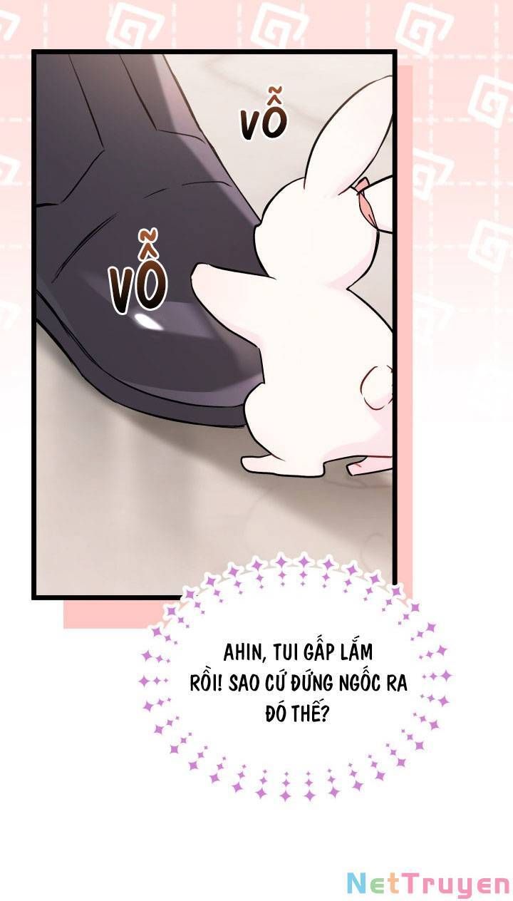 đọc truyện Mối Quan Hệ Cộng Sinh Giữa Báo Đen Và Thỏ Trắng Chương 101 ảnh 55 tại Thiên Thai Truyện