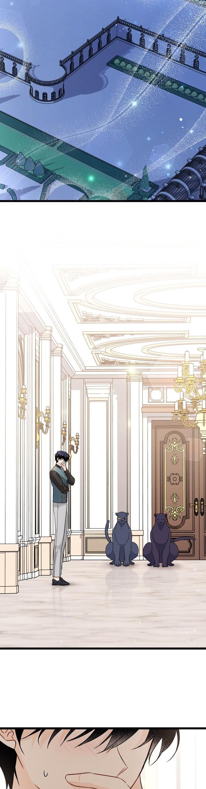 đọc truyện Mối Quan Hệ Cộng Sinh Giữa Báo Đen Và Thỏ Trắng Chương 102 ảnh 13 tại Thiên Thai Truyện