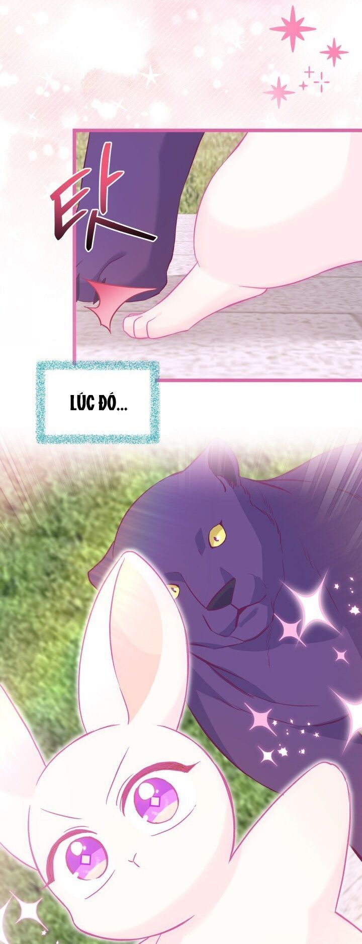 đọc truyện Mối Quan Hệ Cộng Sinh Giữa Báo Đen Và Thỏ Trắng Chương 121 ảnh 24 tại Thiên Thai Truyện