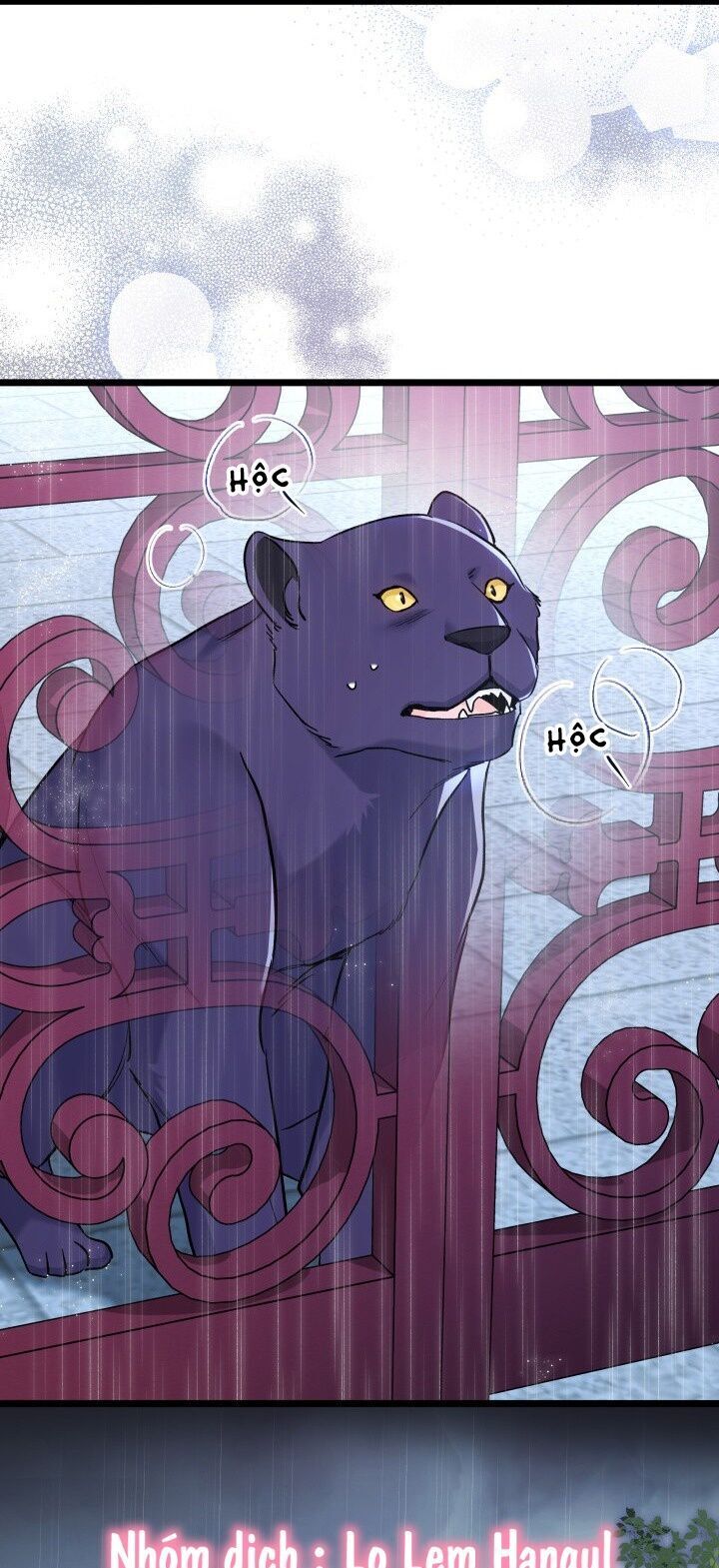 đọc truyện Mối Quan Hệ Cộng Sinh Giữa Báo Đen Và Thỏ Trắng Chương 121 ảnh 42 tại Thiên Thai Truyện