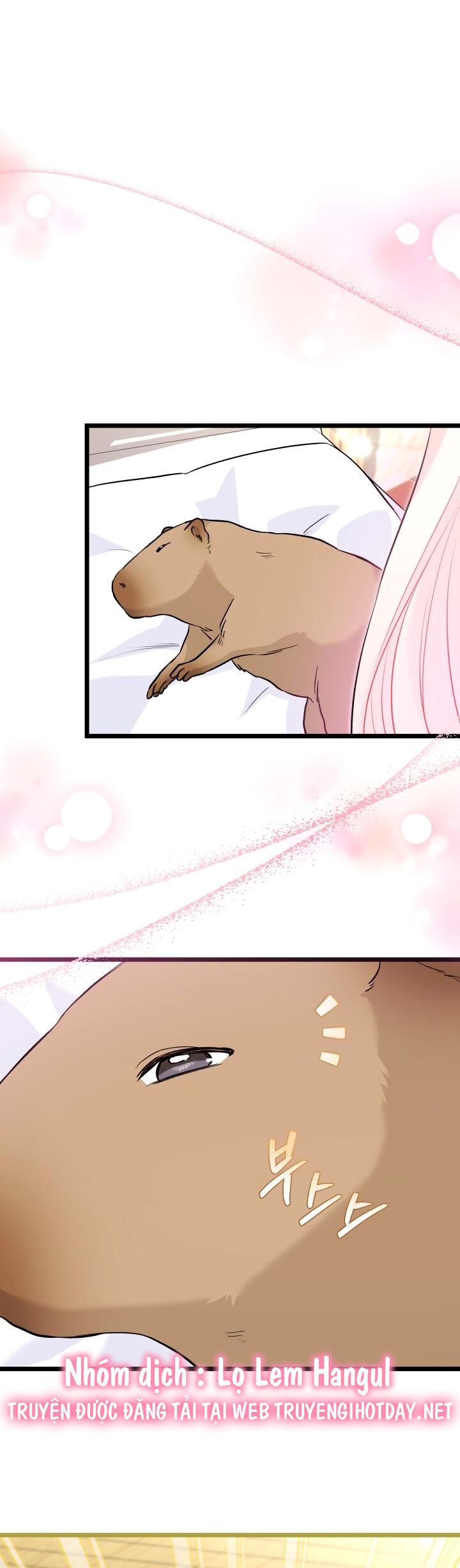 đọc truyện Mối Quan Hệ Cộng Sinh Giữa Báo Đen Và Thỏ Trắng Chương 123 ảnh 23 tại Thiên Thai Truyện