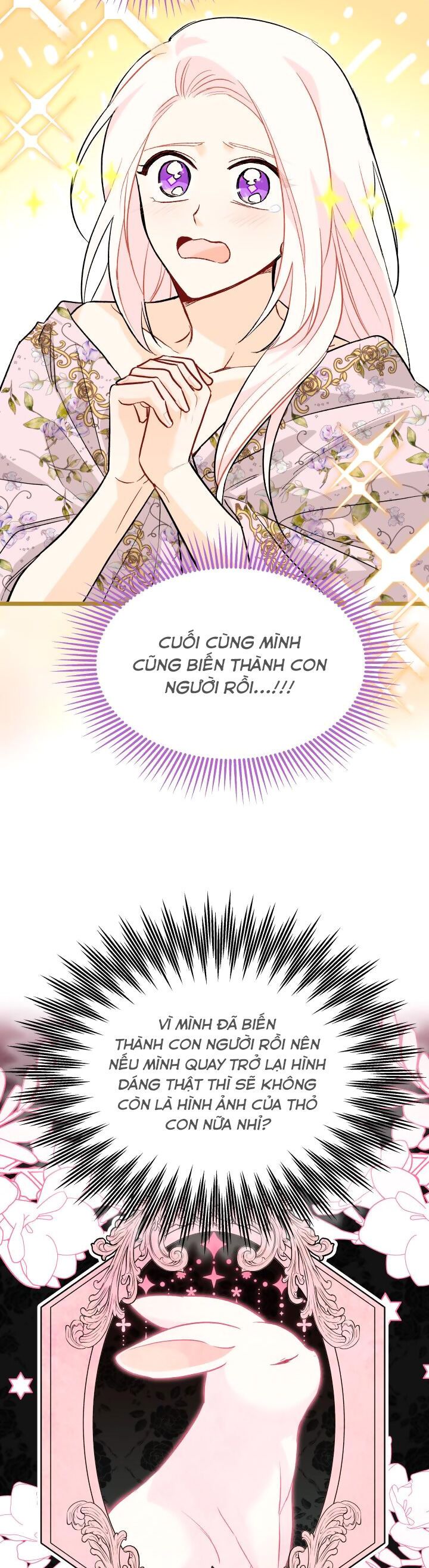 đọc truyện Mối Quan Hệ Cộng Sinh Giữa Báo Đen Và Thỏ Trắng Chương 123 ảnh 25 tại Thiên Thai Truyện