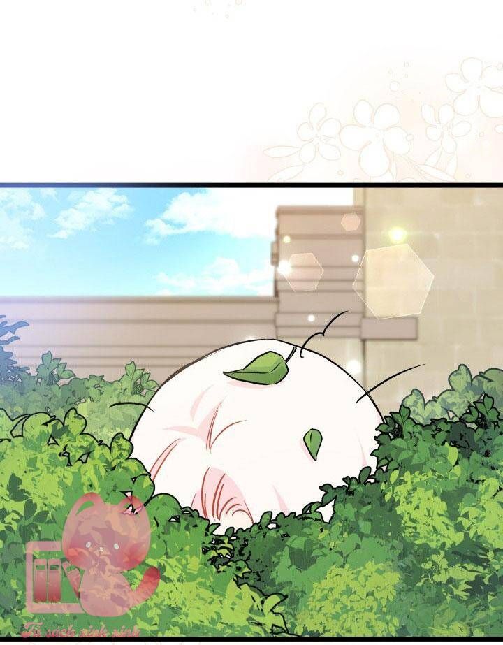 đọc truyện Mối Quan Hệ Cộng Sinh Giữa Báo Đen Và Thỏ Trắng Chương 126 ảnh 21 tại Thiên Thai Truyện