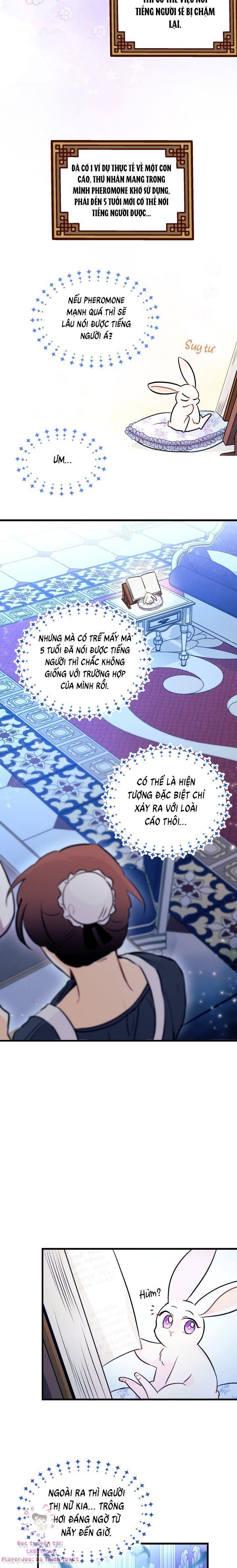 đọc truyện Mối Quan Hệ Cộng Sinh Giữa Báo Đen Và Thỏ Trắng Chương 13 ảnh 17 tại Thiên Thai Truyện