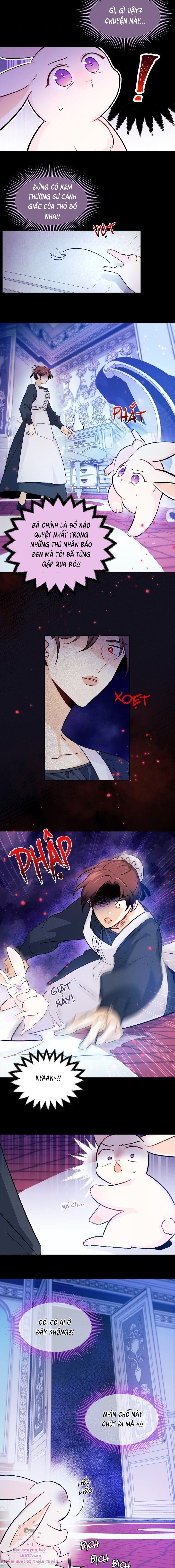 đọc truyện Mối Quan Hệ Cộng Sinh Giữa Báo Đen Và Thỏ Trắng Chương 13 ảnh 19 tại Thiên Thai Truyện