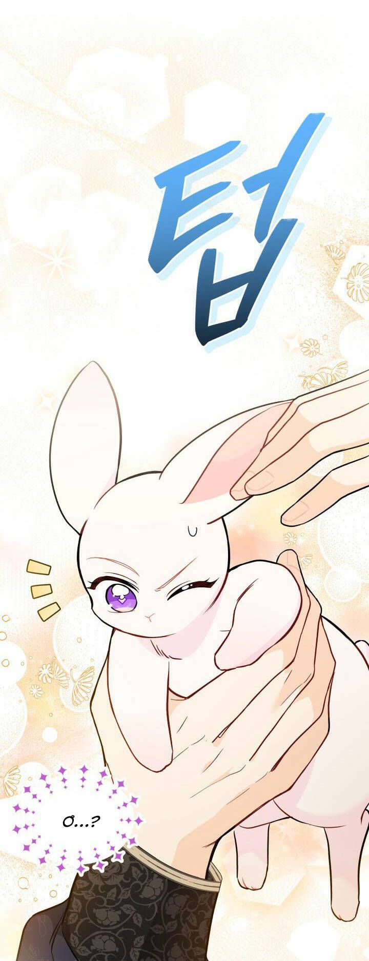 đọc truyện Mối Quan Hệ Cộng Sinh Giữa Báo Đen Và Thỏ Trắng Chương 130 ảnh 38 tại Thiên Thai Truyện