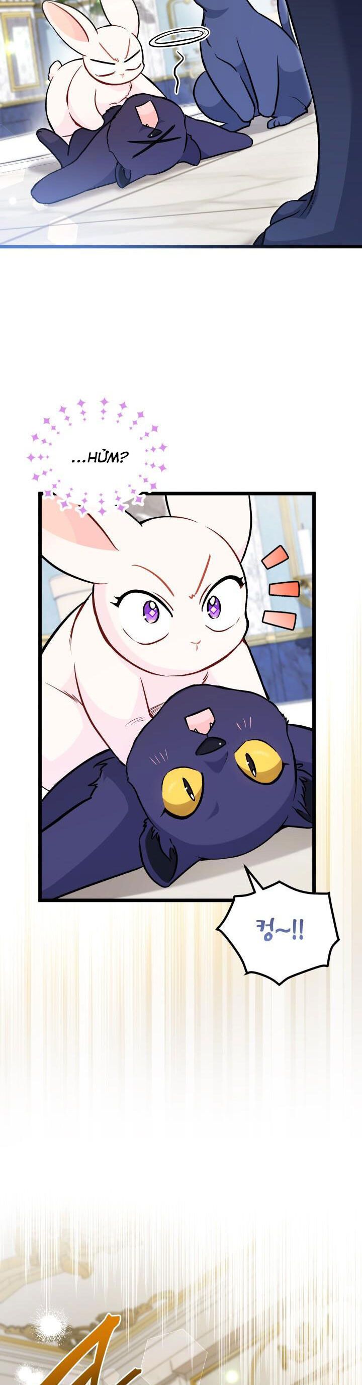 đọc truyện Mối Quan Hệ Cộng Sinh Giữa Báo Đen Và Thỏ Trắng Chương 134 ảnh 16 tại Thiên Thai Truyện