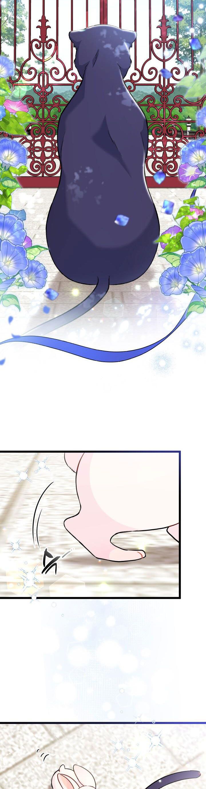 đọc truyện Mối Quan Hệ Cộng Sinh Giữa Báo Đen Và Thỏ Trắng Chương 134 ảnh 32 tại Thiên Thai Truyện