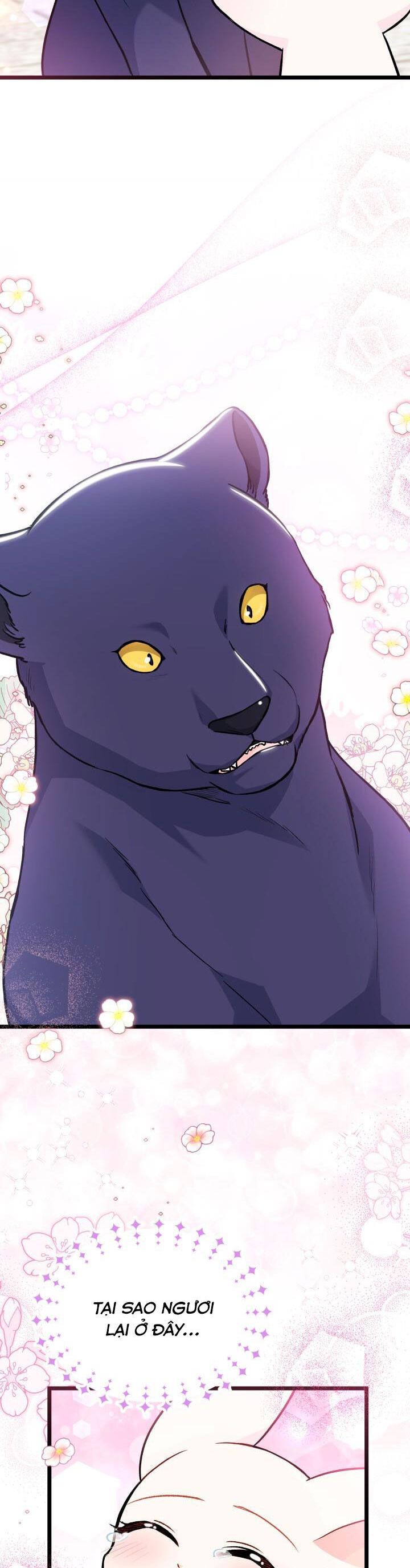 đọc truyện Mối Quan Hệ Cộng Sinh Giữa Báo Đen Và Thỏ Trắng Chương 134 ảnh 36 tại Thiên Thai Truyện