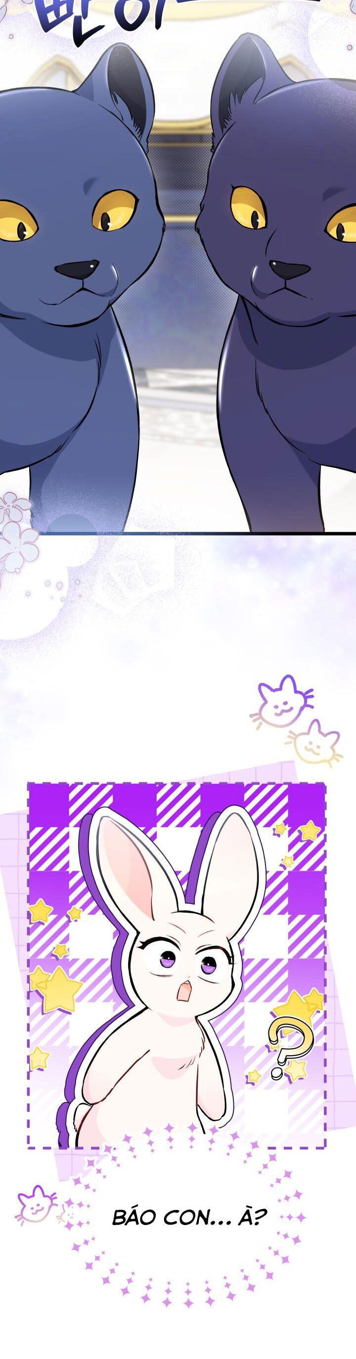 đọc truyện Mối Quan Hệ Cộng Sinh Giữa Báo Đen Và Thỏ Trắng Chương 134 ảnh 8 tại Thiên Thai Truyện