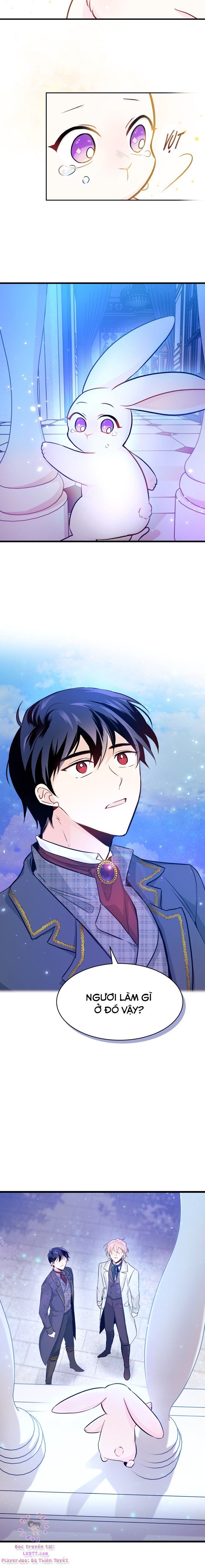 đọc truyện Mối Quan Hệ Cộng Sinh Giữa Báo Đen Và Thỏ Trắng Chương 14 ảnh 12 tại Thiên Thai Truyện