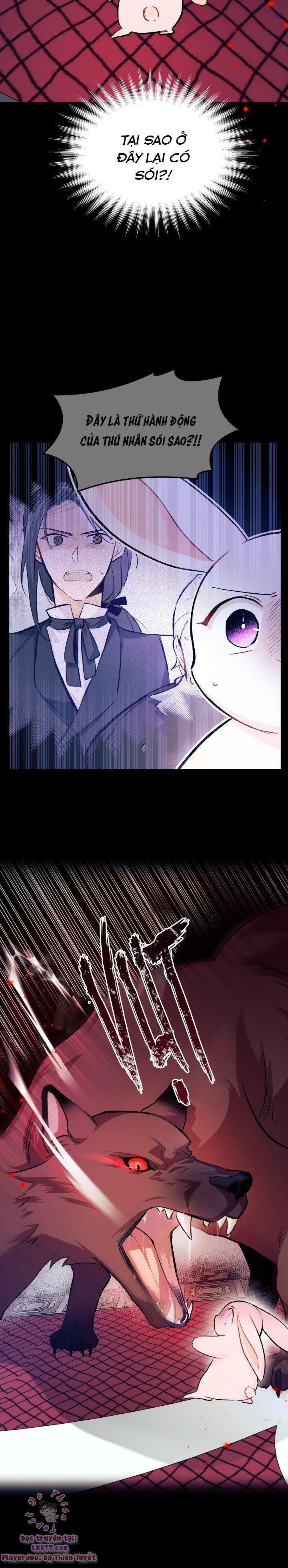 đọc truyện Mối Quan Hệ Cộng Sinh Giữa Báo Đen Và Thỏ Trắng Chương 14 ảnh 7 tại Thiên Thai Truyện