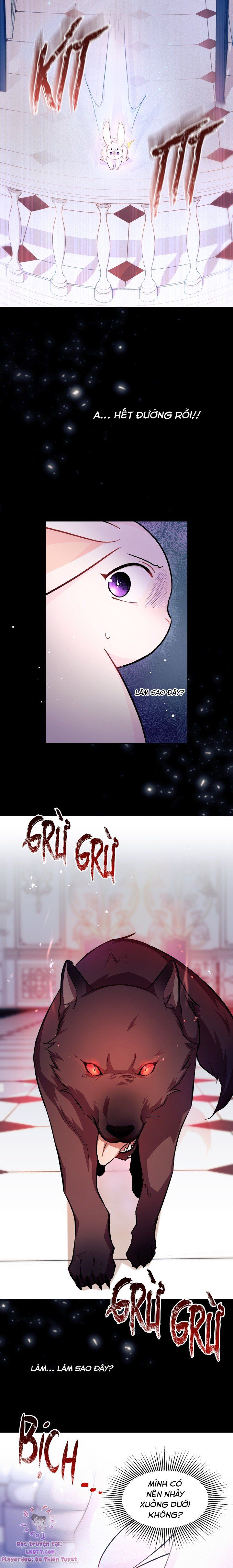 đọc truyện Mối Quan Hệ Cộng Sinh Giữa Báo Đen Và Thỏ Trắng Chương 14 ảnh 10 tại Thiên Thai Truyện