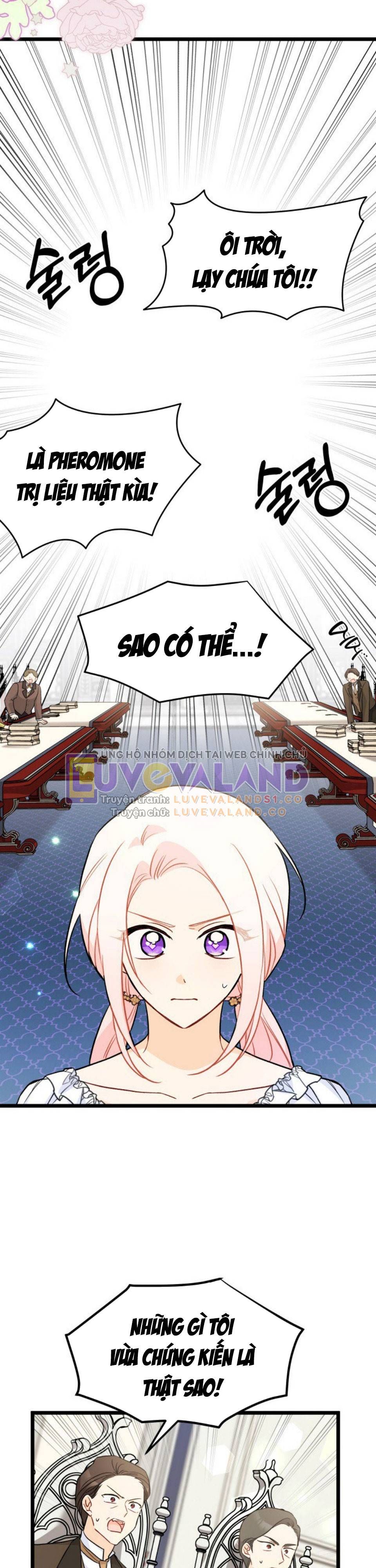 đọc truyện Mối Quan Hệ Cộng Sinh Giữa Báo Đen Và Thỏ Trắng Chương 141 ảnh 36 tại Thiên Thai Truyện