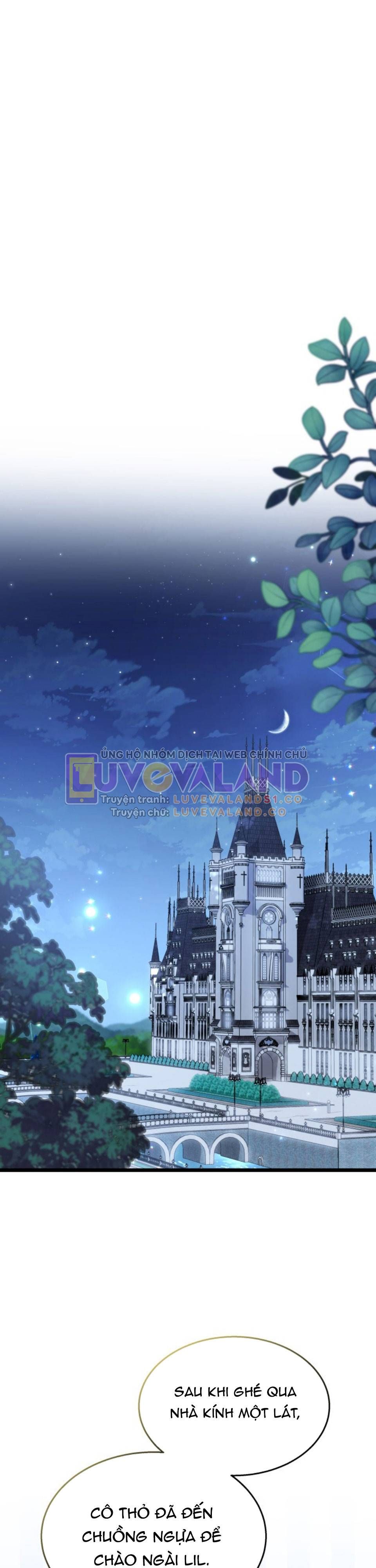 đọc truyện Mối Quan Hệ Cộng Sinh Giữa Báo Đen Và Thỏ Trắng Chương 142 ảnh 33 tại Thiên Thai Truyện