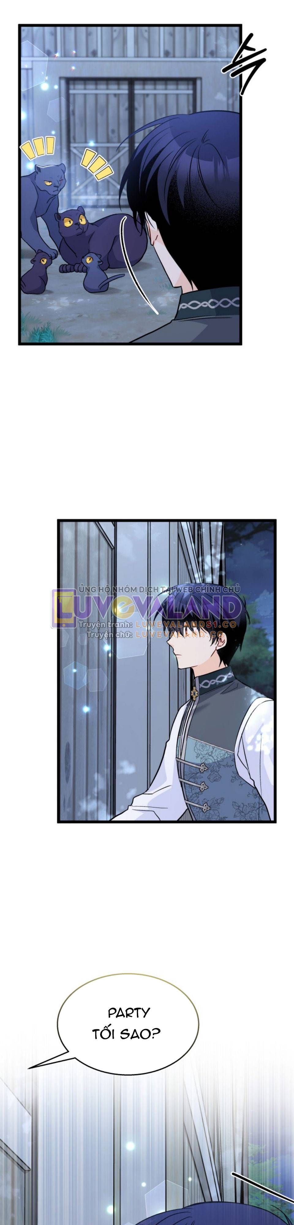 đọc truyện Mối Quan Hệ Cộng Sinh Giữa Báo Đen Và Thỏ Trắng Chương 142 ảnh 37 tại Thiên Thai Truyện