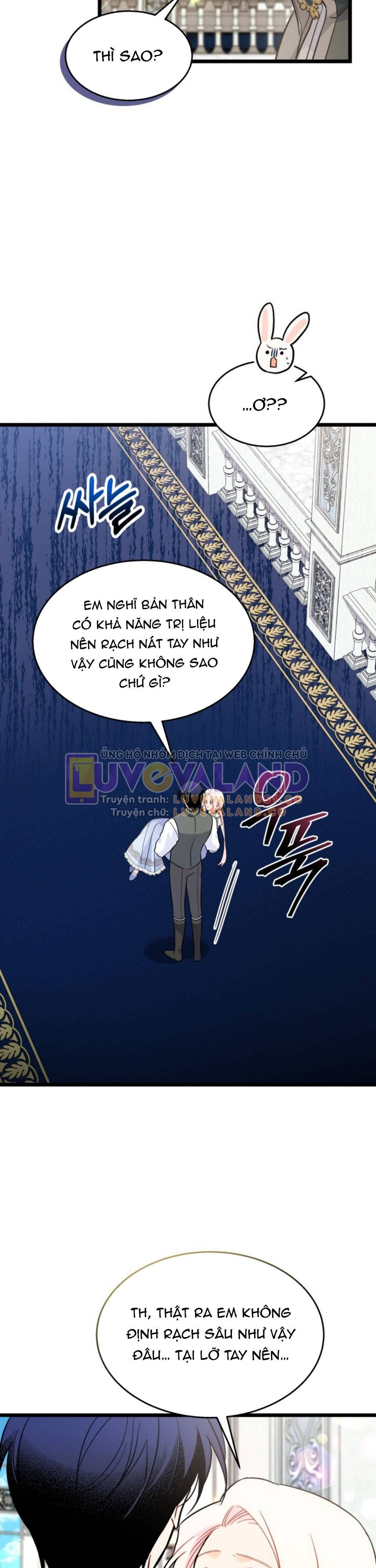 đọc truyện Mối Quan Hệ Cộng Sinh Giữa Báo Đen Và Thỏ Trắng Chương 142 ảnh 8 tại Thiên Thai Truyện