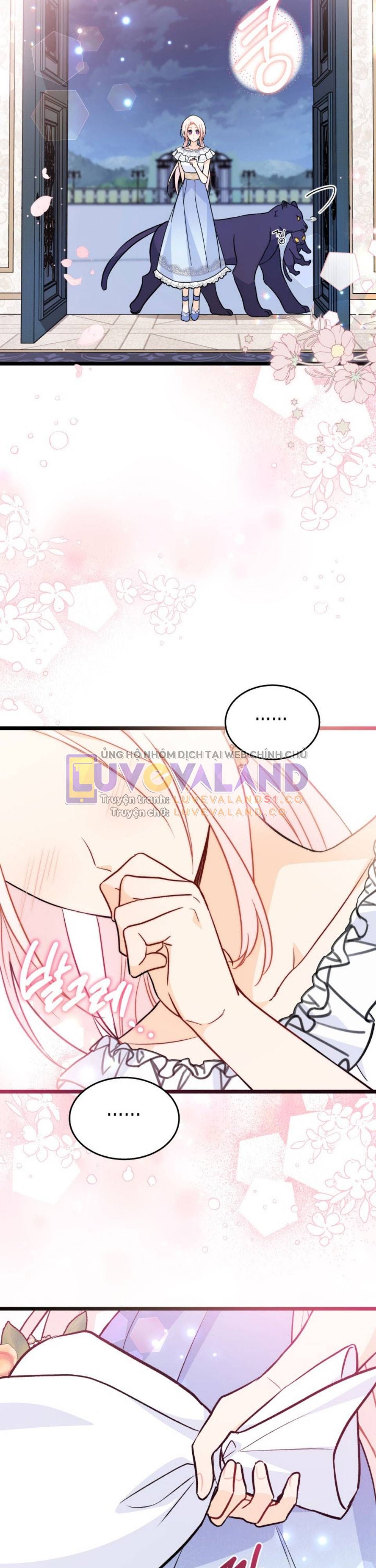 đọc truyện Mối Quan Hệ Cộng Sinh Giữa Báo Đen Và Thỏ Trắng Chương 143 ảnh 12 tại Thiên Thai Truyện