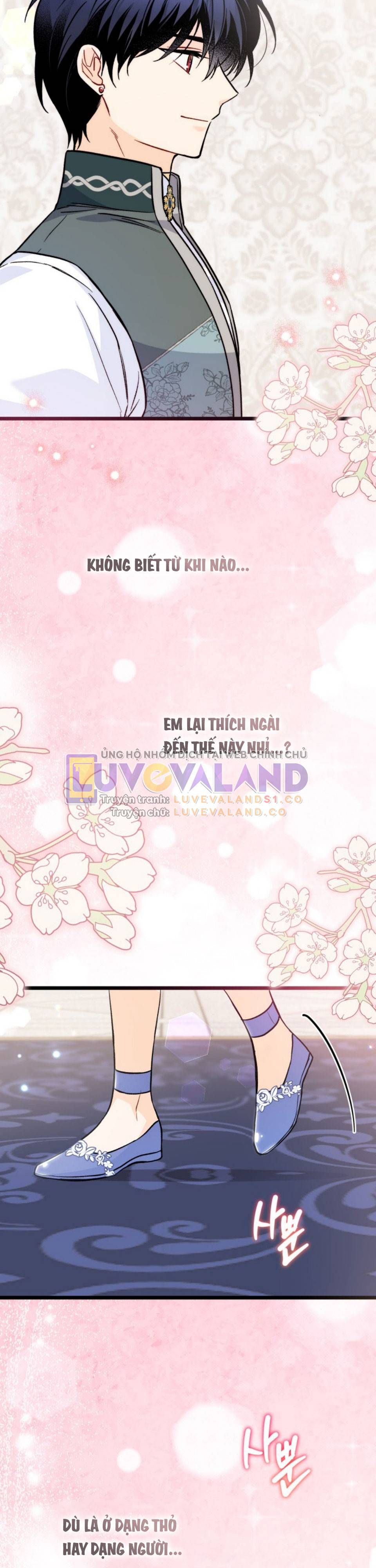 đọc truyện Mối Quan Hệ Cộng Sinh Giữa Báo Đen Và Thỏ Trắng Chương 143 ảnh 15 tại Thiên Thai Truyện