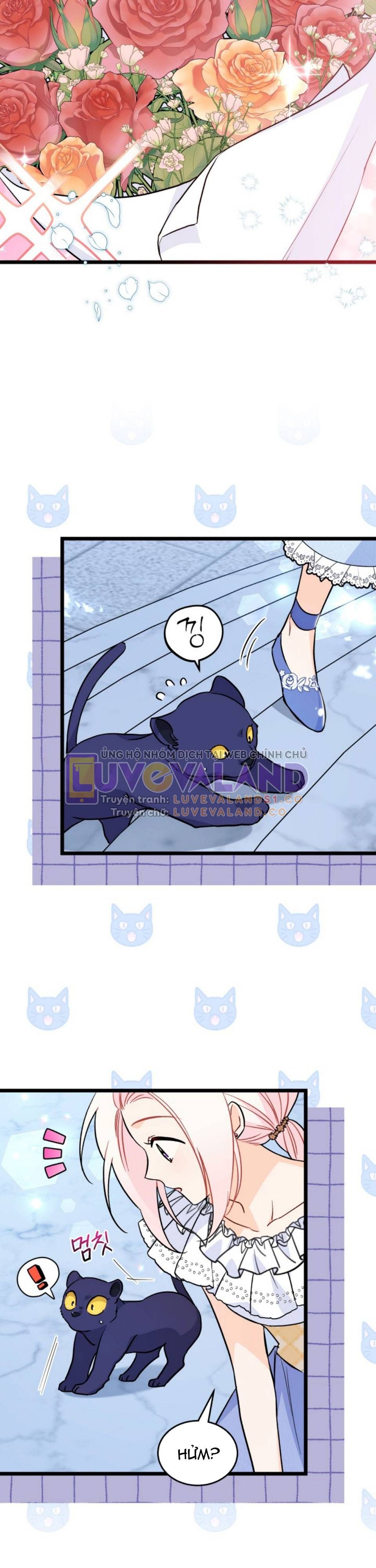 đọc truyện Mối Quan Hệ Cộng Sinh Giữa Báo Đen Và Thỏ Trắng Chương 143 ảnh 5 tại Thiên Thai Truyện