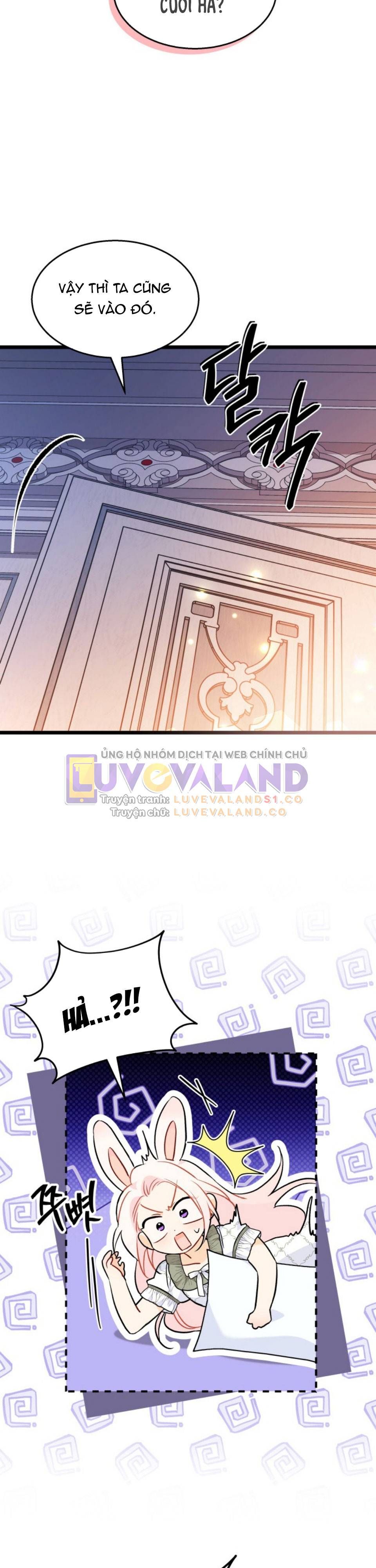 đọc truyện Mối Quan Hệ Cộng Sinh Giữa Báo Đen Và Thỏ Trắng Chương 144 ảnh 17 tại Thiên Thai Truyện