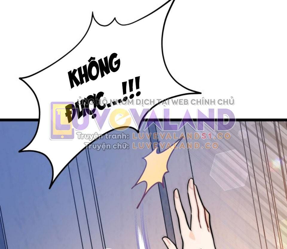 đọc truyện Mối Quan Hệ Cộng Sinh Giữa Báo Đen Và Thỏ Trắng Chương 144 ảnh 18 tại Thiên Thai Truyện